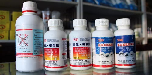 維潔消毒用品經(jīng)營部 專業(yè)守護(hù)，健康同行——給全市人民拜年啦！