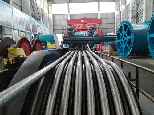 公司順利完成銅仁奧體中心密封繩生產，同步推進塑料管產銷業務